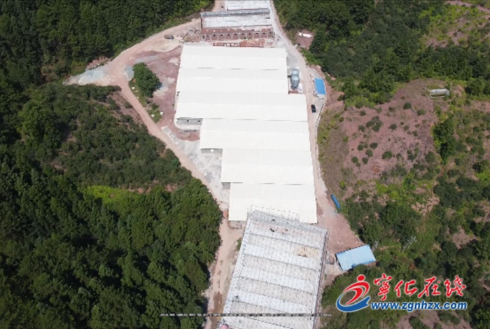 淮土鎮：發展生態豬養殖 助力產業振興