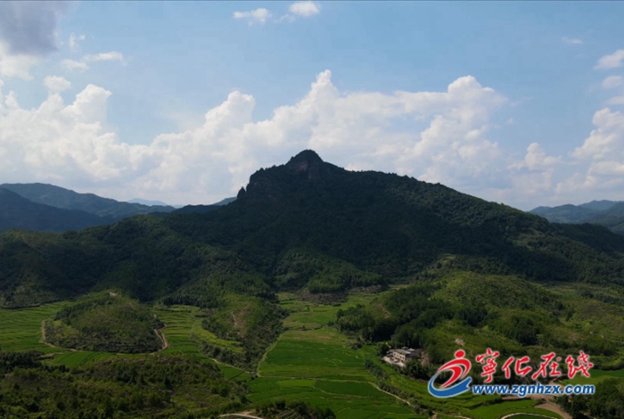 水茜鎮：突出謀篇布局   推進項目建設