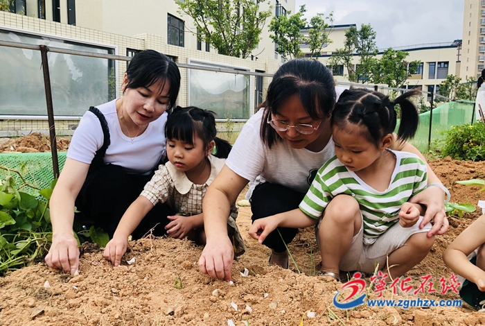 寧化縣連岡幼兒園開展“親自然，真探究”勞動實踐活動