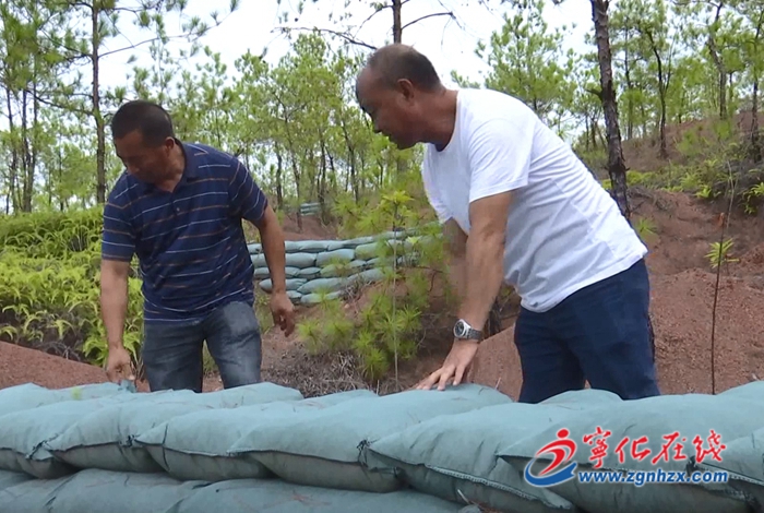 寧化：持續推進水土流失治理 守護綠水青山