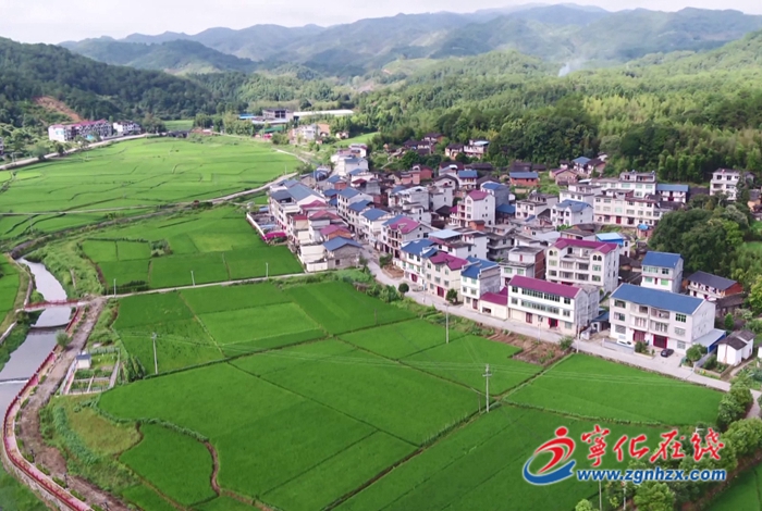 安樂鎮謝坊村：多肉種植讓百姓富鄉村美