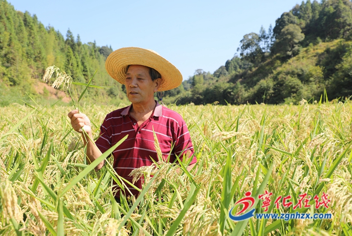 【青山綠水是無價之寶】“撂荒地”成了“豐收田”