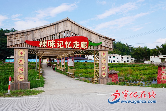 【奮進新征程 建功新時代·非凡十年——部門篇】縣農業農村局：全面推進鄉村振興 農業現代化建設邁上新臺階