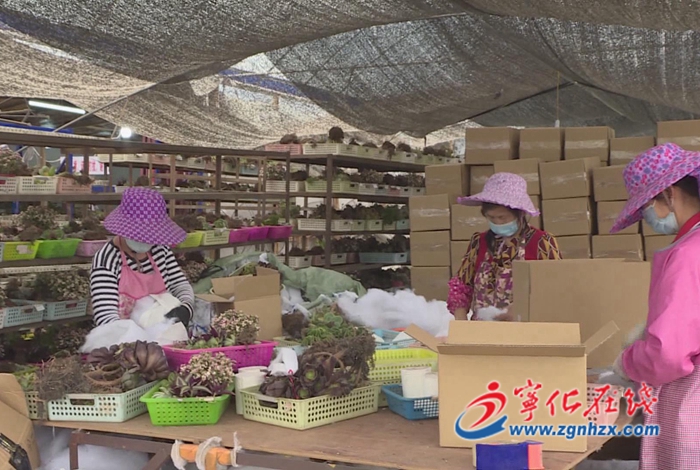 【奮進新征程 建功新時代?非凡十年——鄉鎮篇安樂鎮：產業振興 建設美麗新農村】