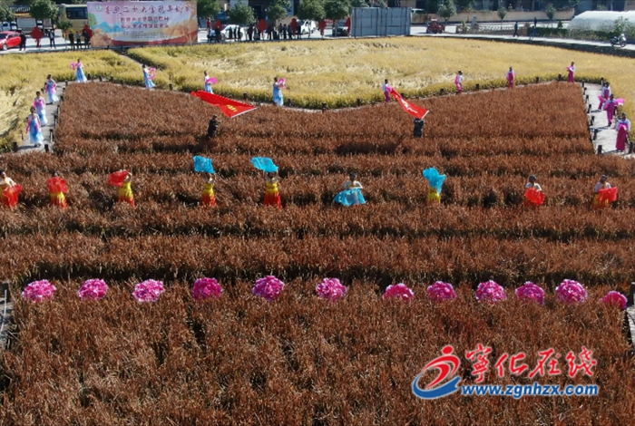 寧化濟村鄉舉辦金穗豐收節