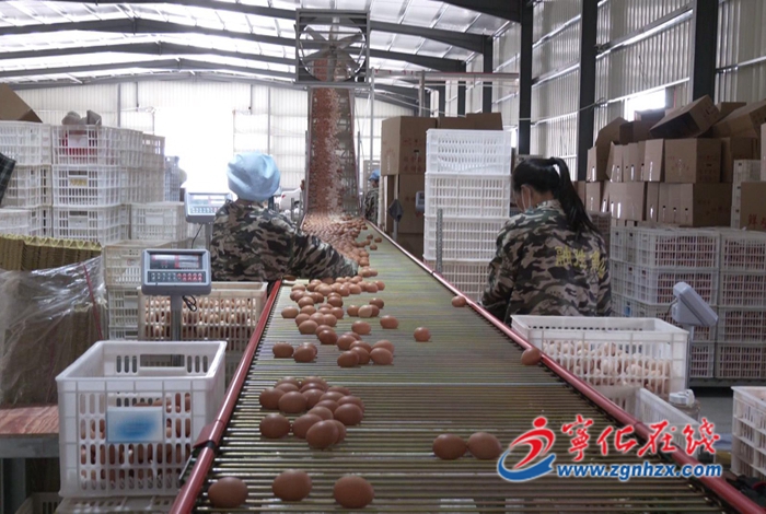 【奮進(jìn)新征程 建功新時(shí)代·非凡十年——鄉(xiāng)鎮(zhèn)篇】水茜鎮(zhèn):十年成就鼓舞人心,開(kāi)拓奮進(jìn)譜寫新篇