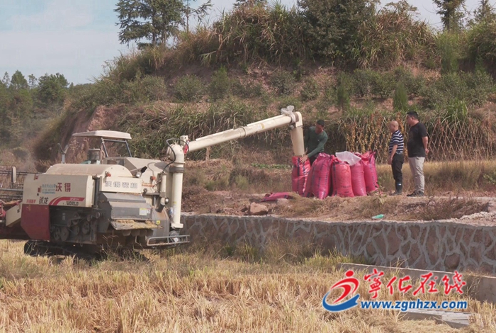 寧化：舉辦水稻覆生物降解地膜種植測產(chǎn)現(xiàn)場會
