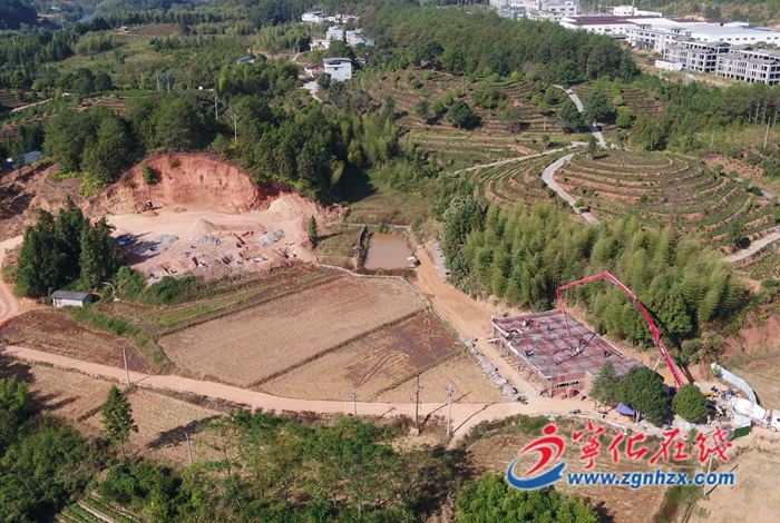 【青山綠水是無價之寶】寧化城郊：打響“河龍貢米”品牌 打造農業產業強鎮