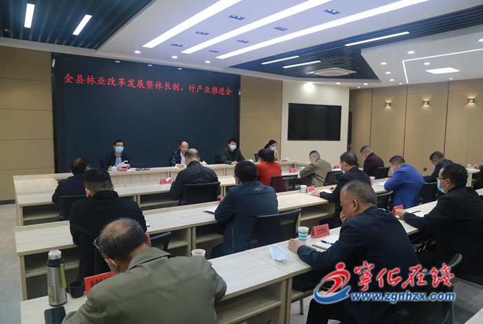 寧化召開全縣林業(yè)改革發(fā)展暨林長制、竹產(chǎn)業(yè)推進會