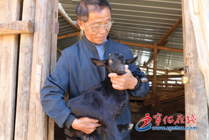 邱慶球:生態養殖開辟致富路