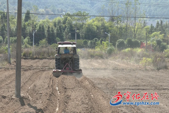 湖村鎮:種地交給田保姆 生產托管蹚新路
