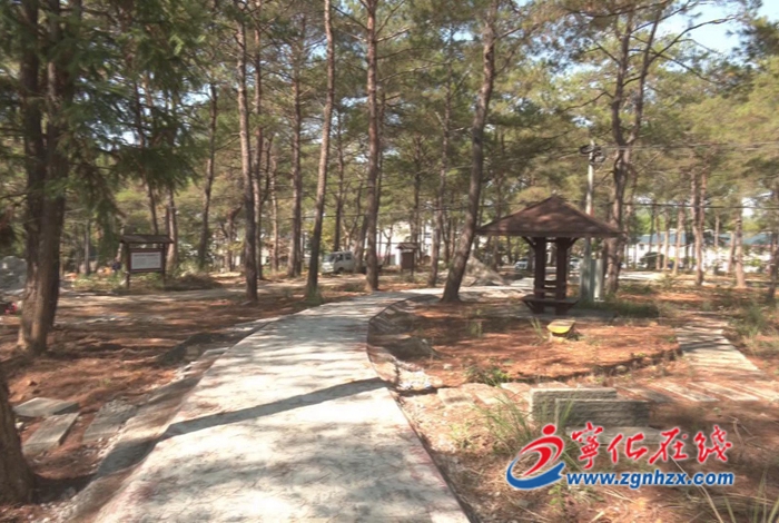 【鄉村振興再出發】湖村鎮：提升改造公園環境 推進鄉村建設