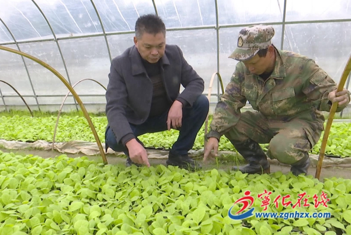 湖村鎮(zhèn):打好防寒防凍保衛(wèi)戰(zhàn)