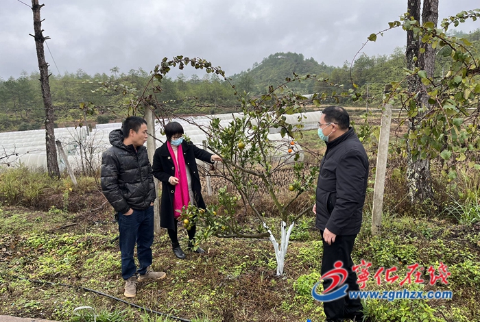 寧化淮土鎮：農技專家助力農戶“防寒”