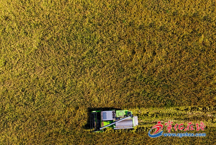 國家級名單公示！寧化上榜！