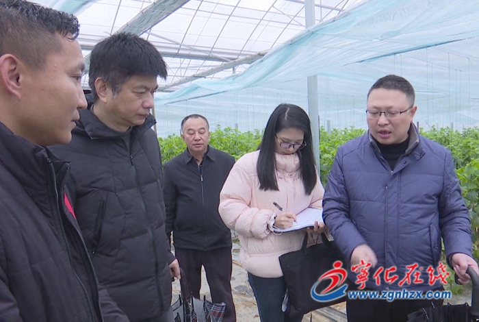 省農(nóng)業(yè)廳到寧化縣開展“兩直兩前”調研 助力農(nóng)業(yè)生產(chǎn)開門紅