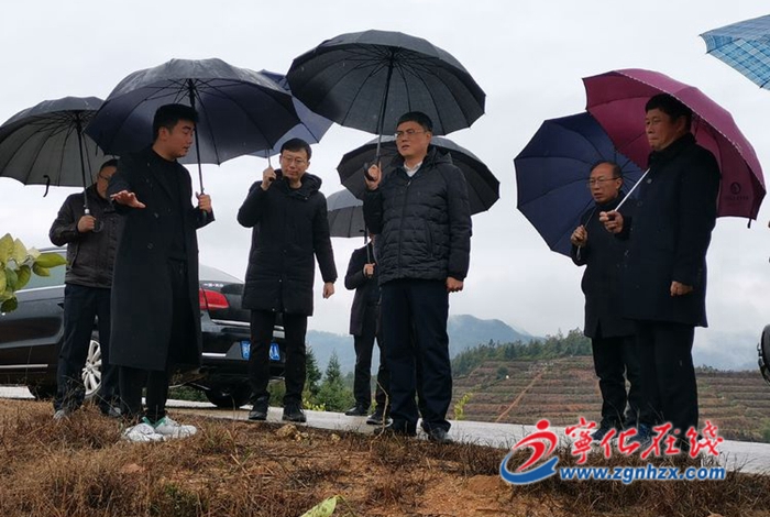 市領導來寧督促調研農業生產抗寒防凍工作