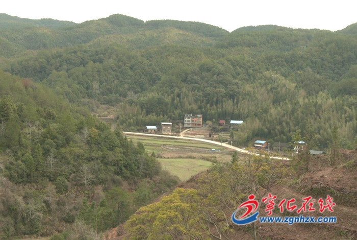 寧化：持續松林改造 奮力實現“開門紅”