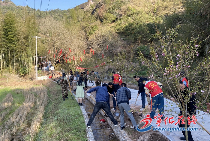 “添綠”正當時！寧化各界開展植樹節主題活動