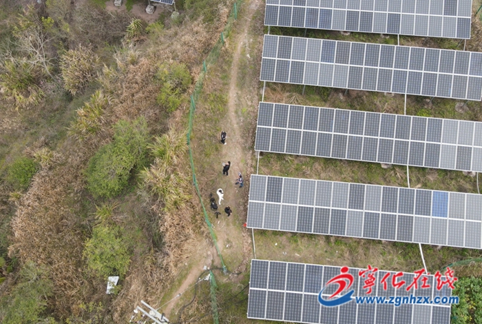 寧化淮土鎮：光伏發電增強村集體經濟“造血”功能