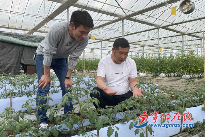 寧化：“百名導師扶百村”賦能鄉(xiāng)村振興