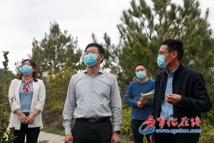 寧化縣領導開展水土保持工作項目調研