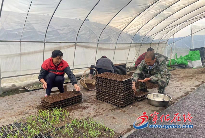 寧化安田生態(tài)農(nóng)業(yè)：發(fā)展特色農(nóng)業(yè) 助農(nóng)致富增收