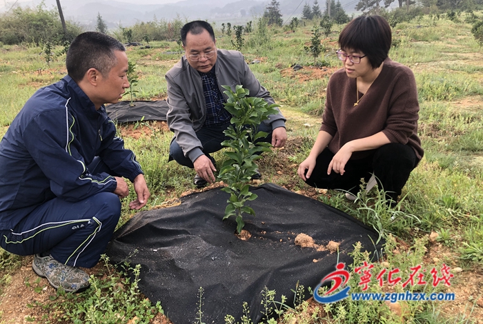 淮土鎮(zhèn)：服務(wù)春耕備耕 確保穩(wěn)產(chǎn)增長