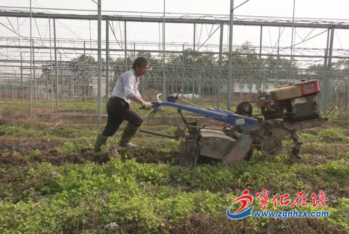 寧化：培植農產品產業落地 奮力實現“開門紅”