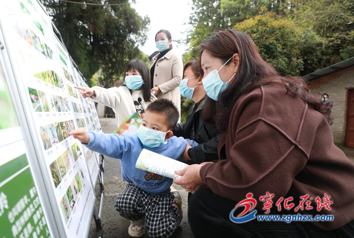 愛鳥護鳥，寧化在行動