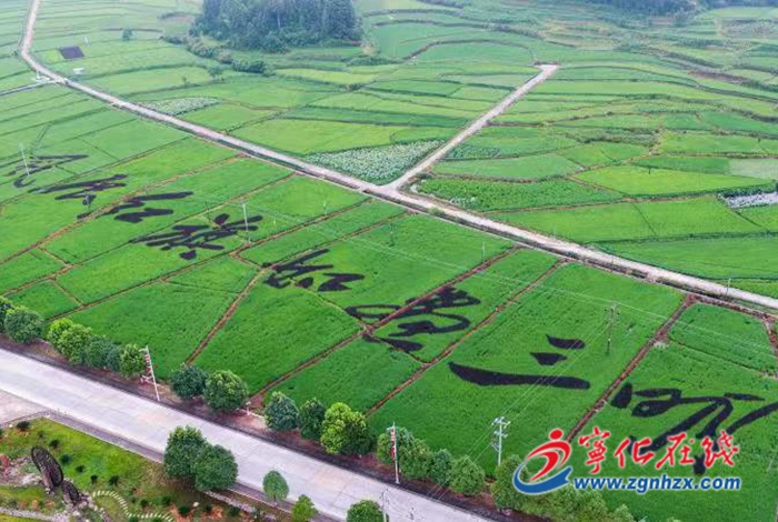 寧化：春耕備耕忙 農田氣象新