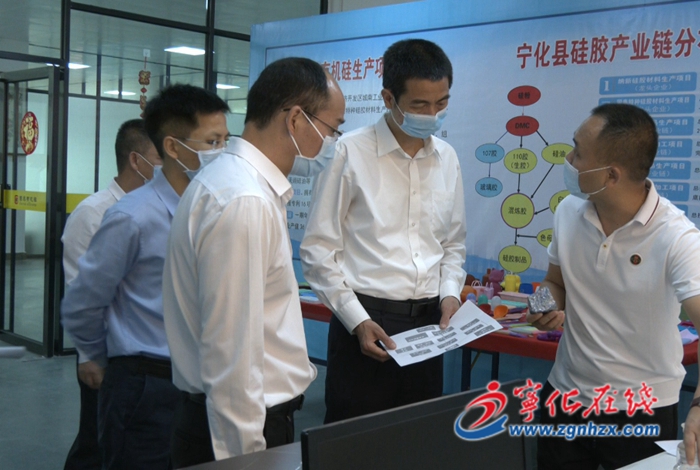 市政協調研組來寧化開展“提升化工園區本質安全水平和應急保障能力”對口協商調研