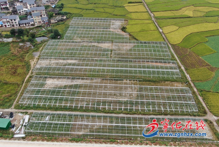 【“三提三效”見行動】簽約6個項目，總投資11.18億元，泉上鎮全力奮戰二季度！