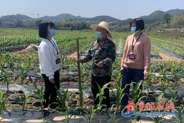 寧化：地頭忙監督 百姓心里安