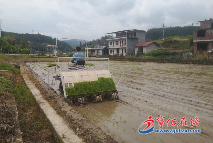 寧化方田鄉：特色產業引領農戶增收