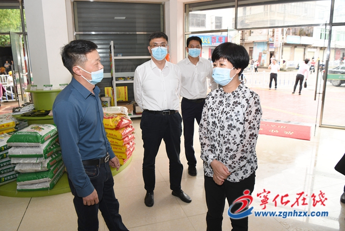 市政府領導赴寧化縣調研春耕生產工作