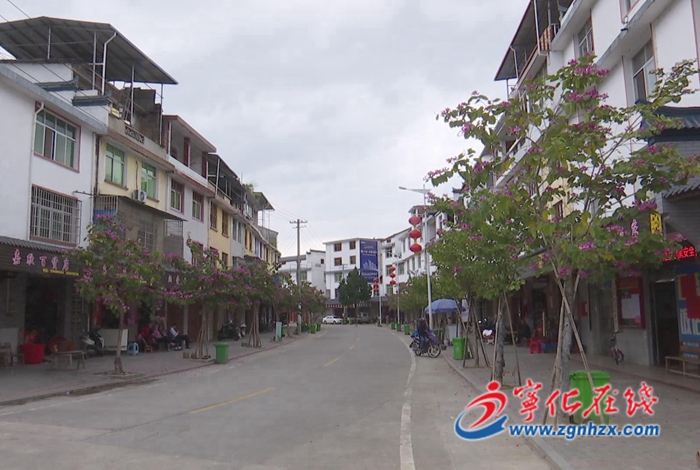 寧化方田鄉：評選星級文明戶 人居環境治理出新招