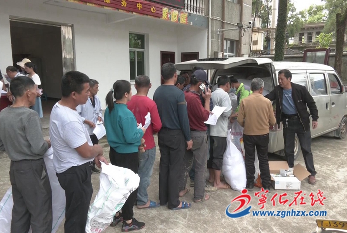 寧化：免費(fèi)發(fā)放700畝稻種，積極開展生產(chǎn)自救