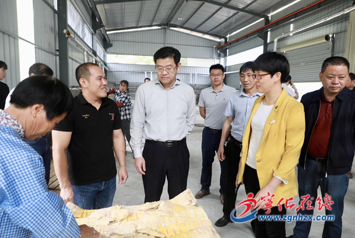 寧化縣領導調研林改工作