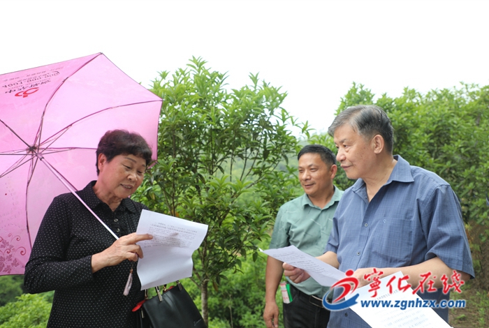 三明鄉(xiāng)村振興促進會調研組到寧化調研