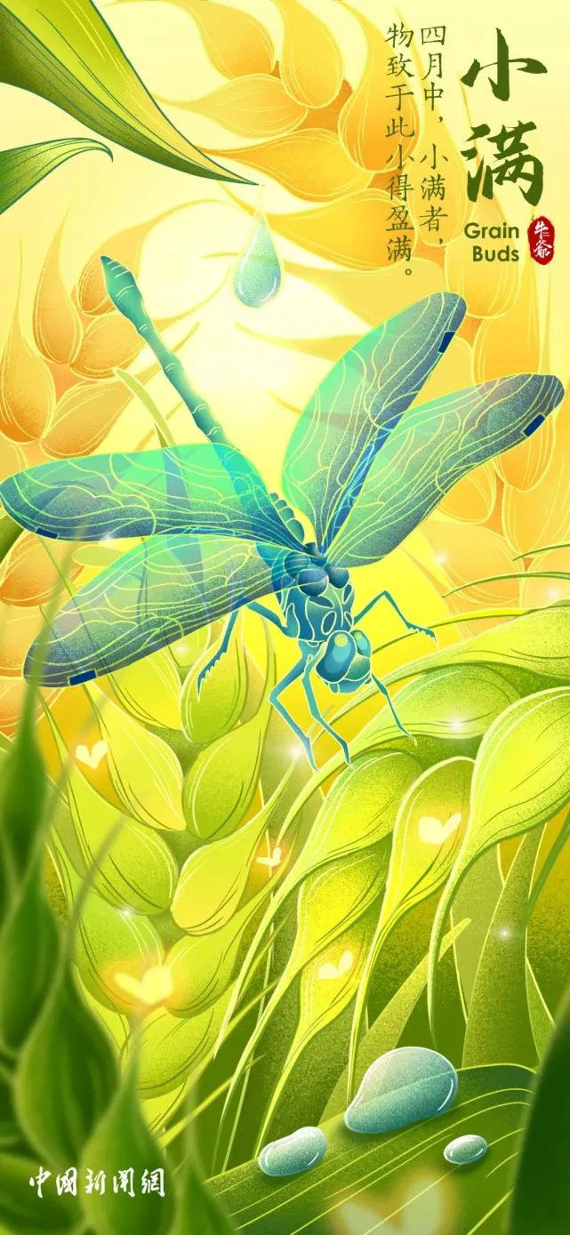 【網絡中國節(jié)·小滿】二十四節(jié)氣：今日小滿 小得盈滿