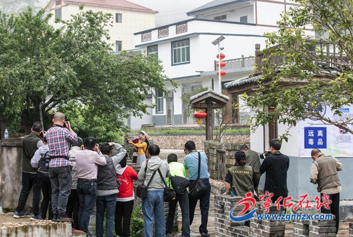 寧化城南：“喜迎黨的二十大，秀出鄉村振興新變化”攝影大賽啟動