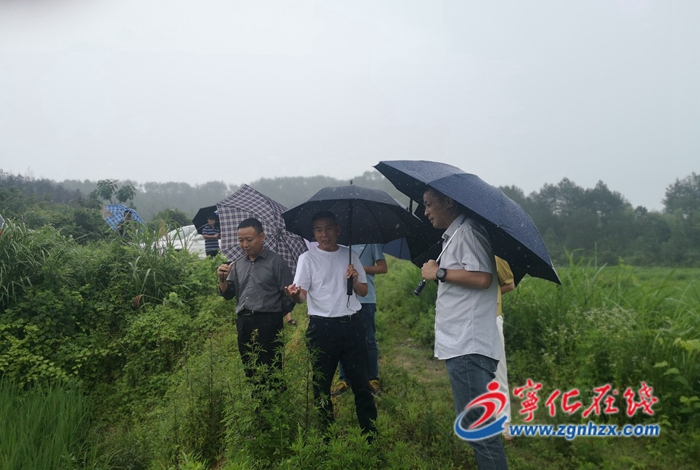 省農業農村廳調研組來寧化調研撂荒地復墾工作