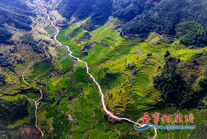 海創會即將“上線”！寧化邀請7家企業參會