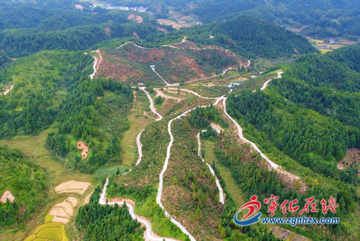 海創會開幕在即  寧化縣有序推進籌備工作