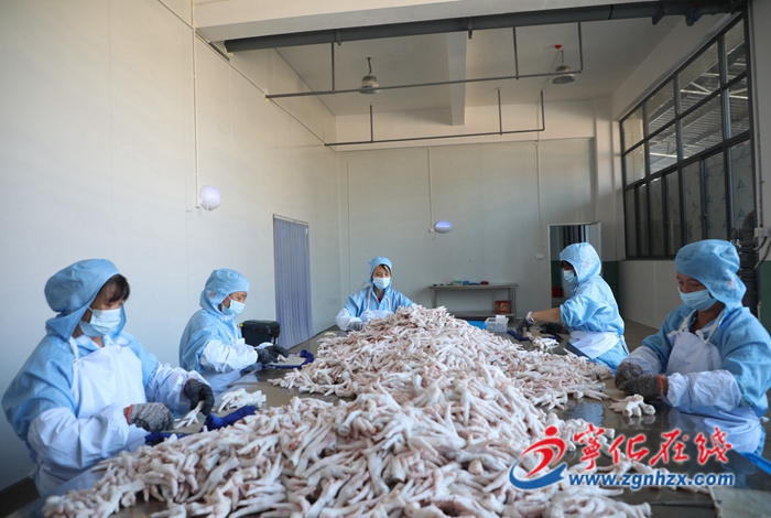 寧化：去骨雞爪產銷兩旺
