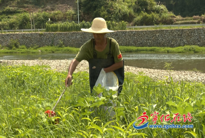 青山綠水是無(wú)價(jià)之寶|邱德福：水茜溪的“最美守護(hù)者”