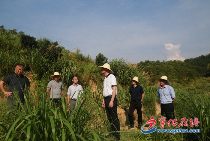 縣領導開展鄉村振興及糧食安全工作調研