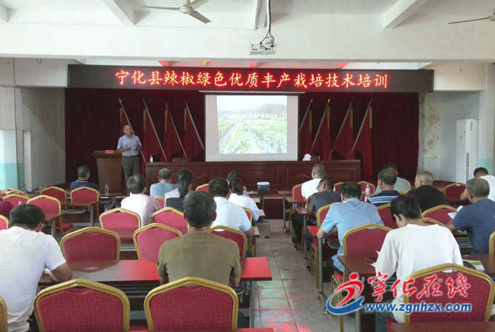 寧化：舉辦辣椒生產現場會