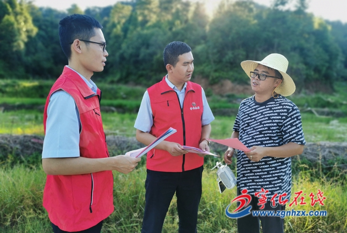 寧化：金融“及時雨”闖出新“稻”路